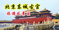 外国狂操小美女中国北京-东城古宫旅游风景区